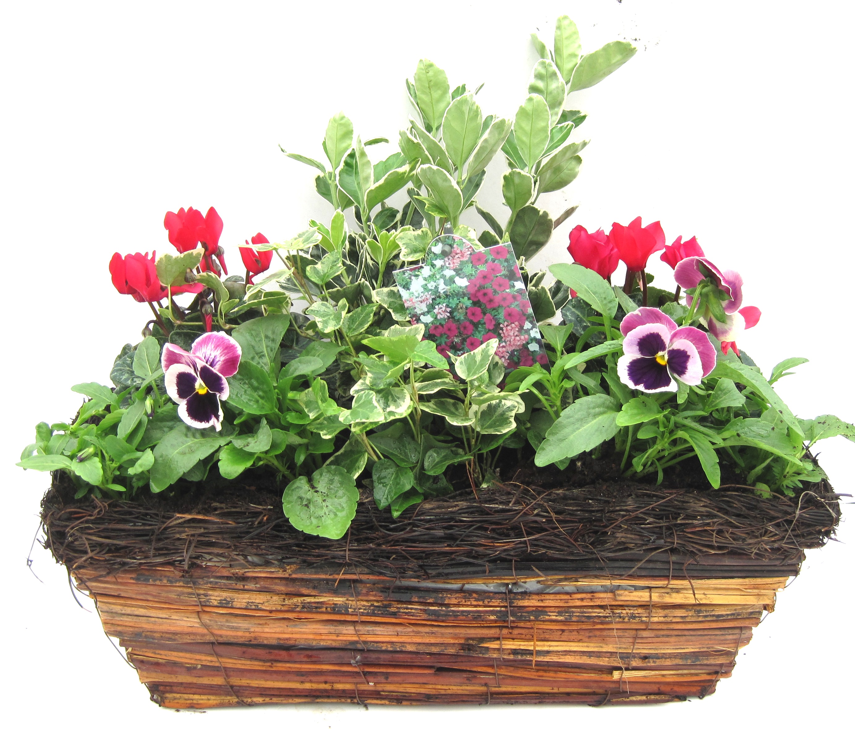Rattan Trough Medium 42cm Summer Planters & Hanging Baskets Baskets